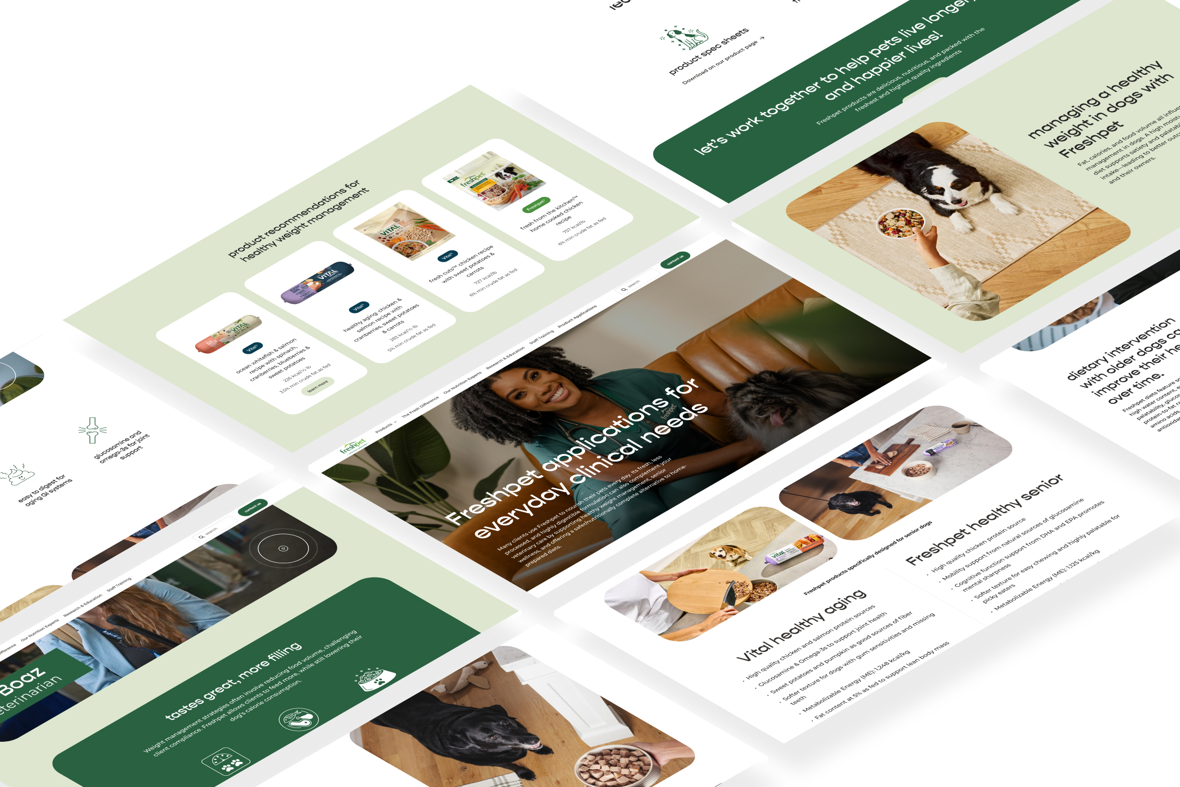 Freshpet Vet landing page overview