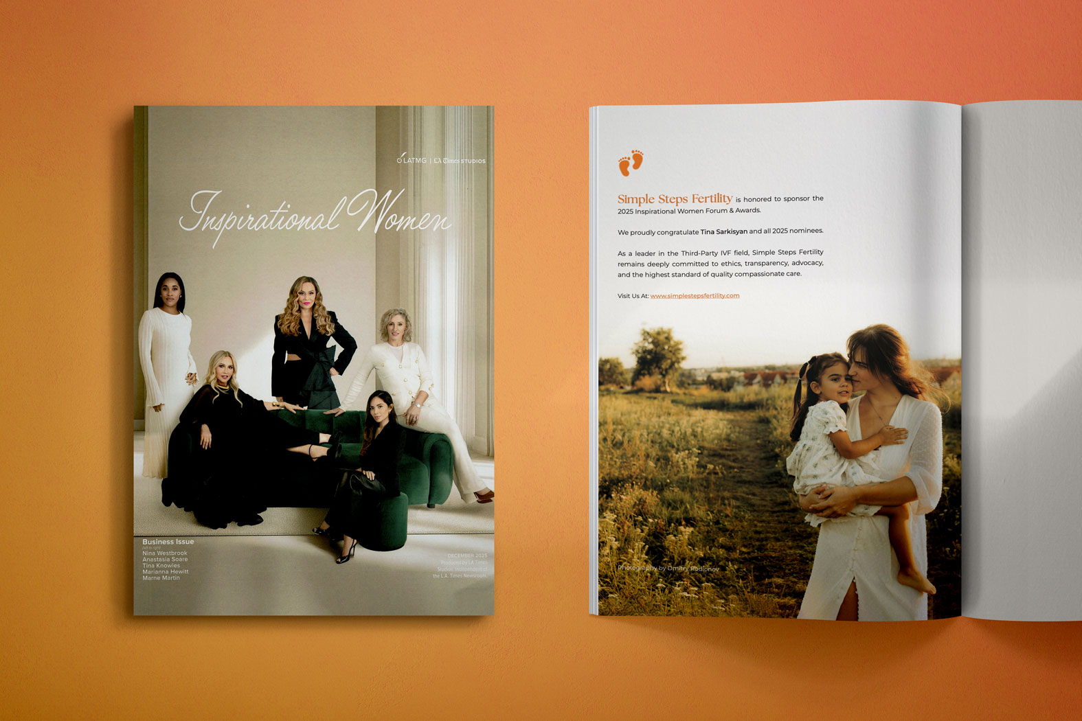 Simple Steps Fertility paid social campaign